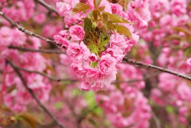 金华金东区1线下个人借款平台一站式服务，轻松解决资金难题