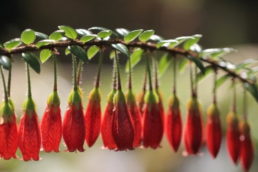 金华金东区1零用贷短借：轻松解决临时资金需求